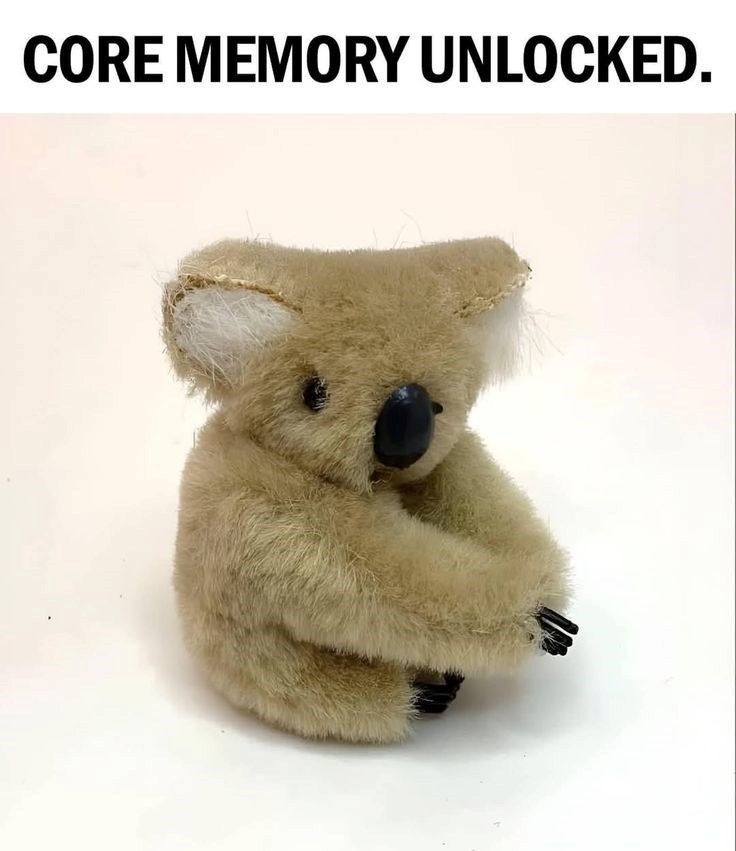 CORE MEMORY UNLOCKED.