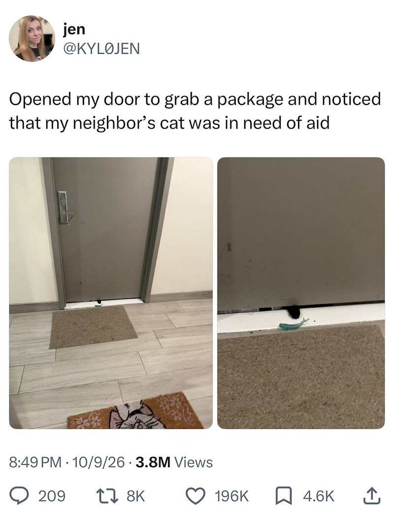 jen @KYLØJEN Opened my door to grab a package and noticed that my neighbor's cat was in need of aid 8:49 PM 10/9/26 3.8M Views 209 17 8K 196K ☐ 4.6K ↑