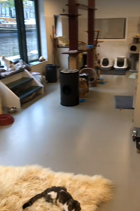 OU