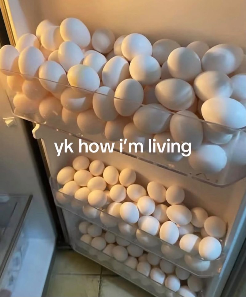 yk how i'm living