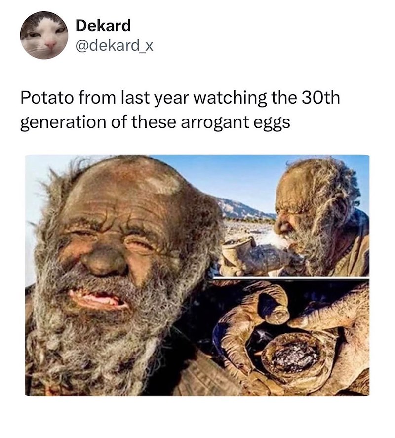 Dekard @dekard_x Potato from last year watching the 30th generation of these arrogant eggs
