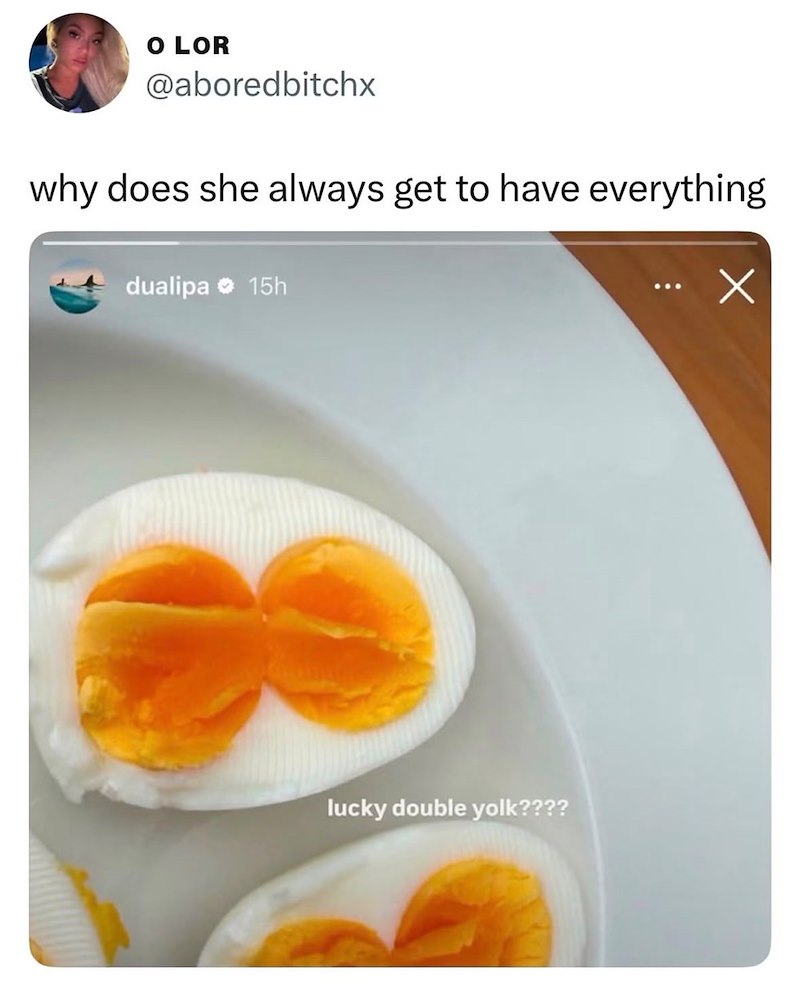 O LOR @aboredbitchx why does she always get to have everything dualipa 15h lucky double yolk???? Х