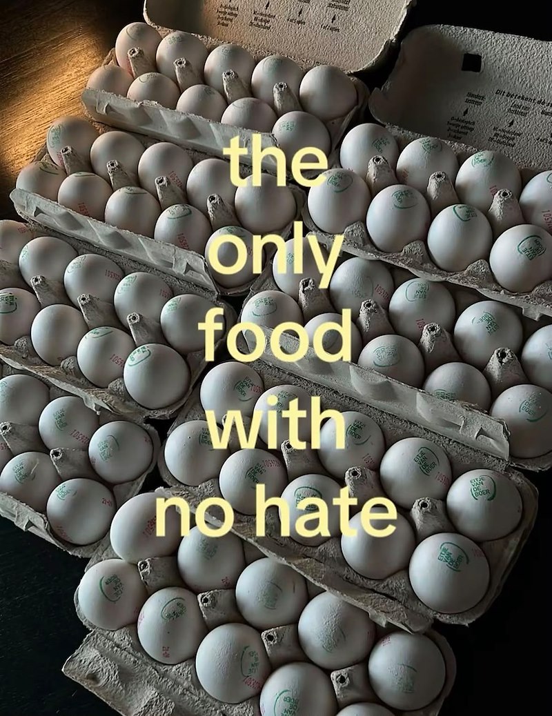 - Hoder Ap -ptch Dit betekent de s 105920 10597 1059 1059226 21-0 the only food With 10592 BOER no hate EITJE VAN (DE BOER 10537