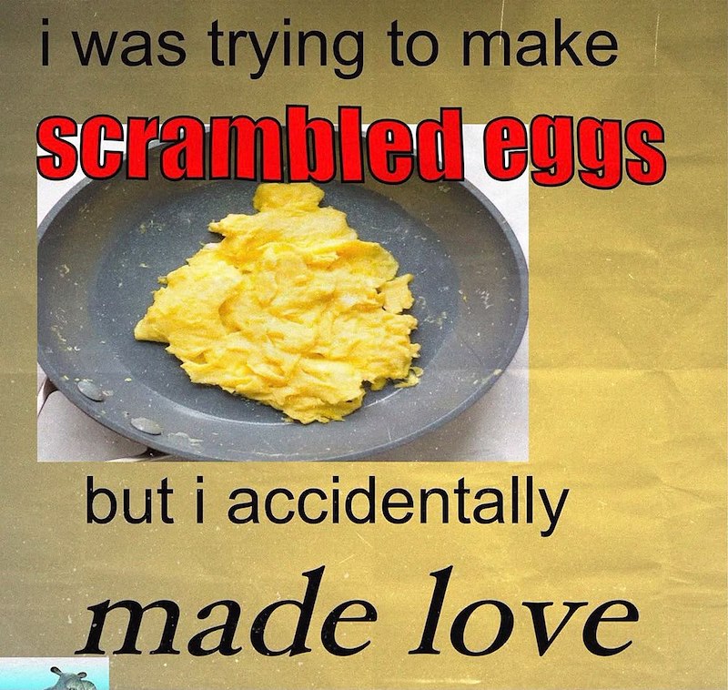 i was trying to make scrambled eggs but i accidentally made love