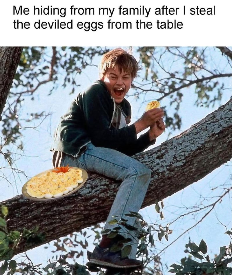 Me hiding from my family after I steal the deviled eggs from the table
