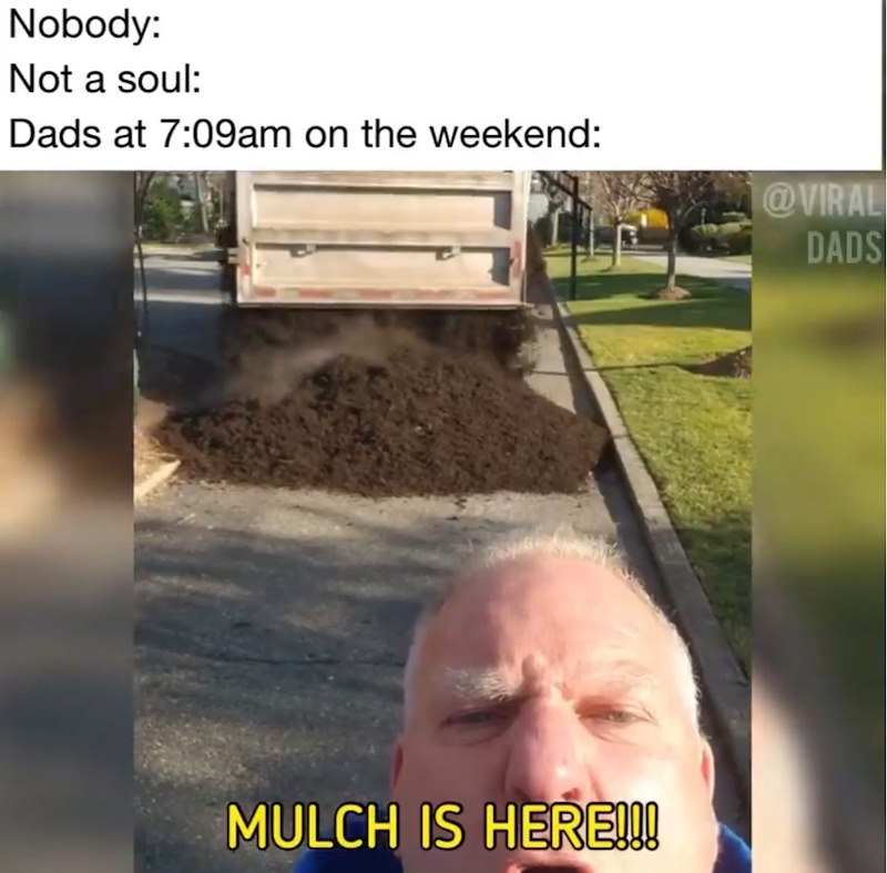 Nobody: Not a soul: Dads at 7:09am on the weekend: MULCH IS HERE!!! @VIRAL DADS
