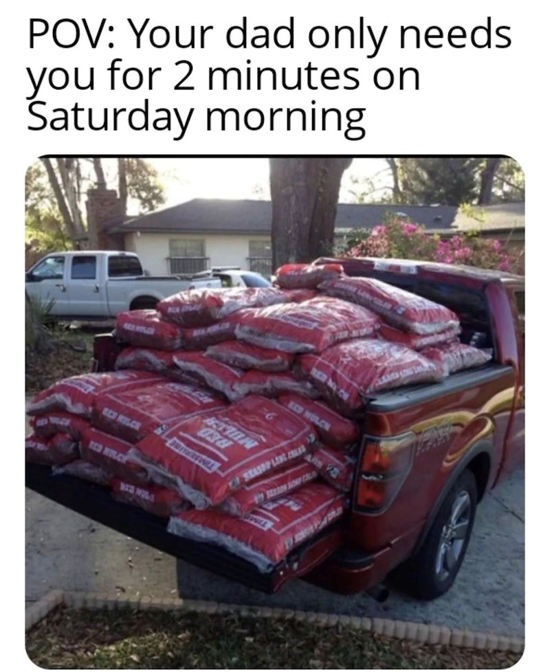 POV: Your dad only needs. you for 2 minutes on Saturday morning RED MILCH TION 0238 RED MULCY BED MULCH SEASOP LEN SEASON SO C