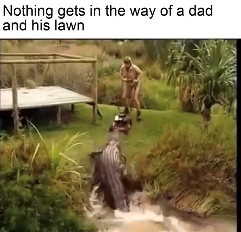 Nothing gets in the way of a dad and his lawn