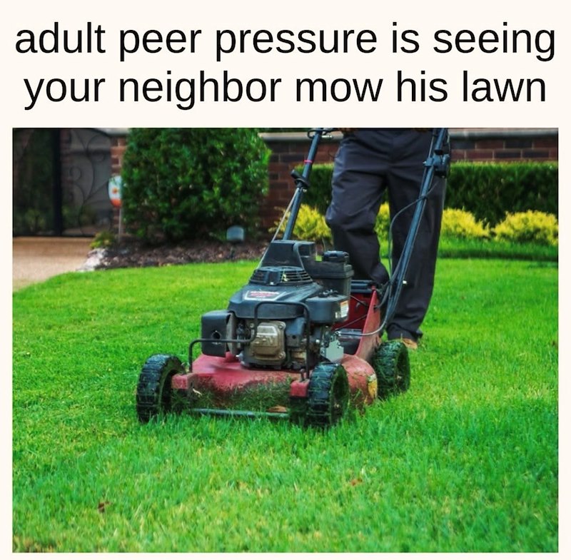 adult peer pressure is seeing your neighbor mow his lawn
