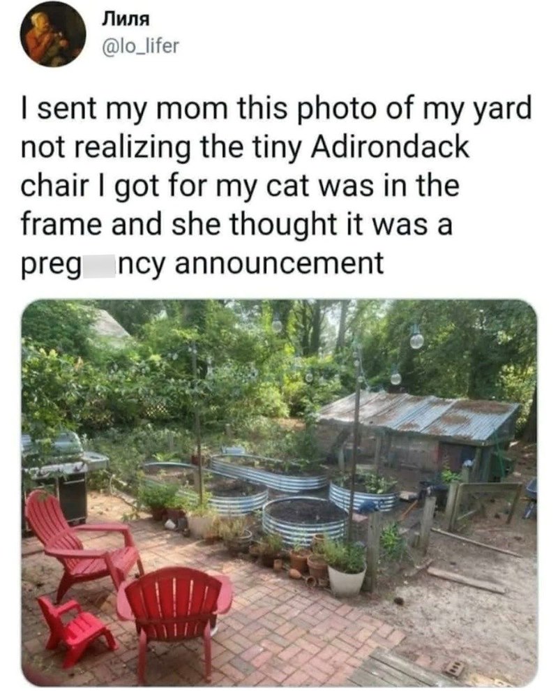 Лиля @lo_lifer I sent my mom this photo of my yard not realizing the tiny Adirondack chair I got for my cat was in the frame and she thought it was a pregncy announcement