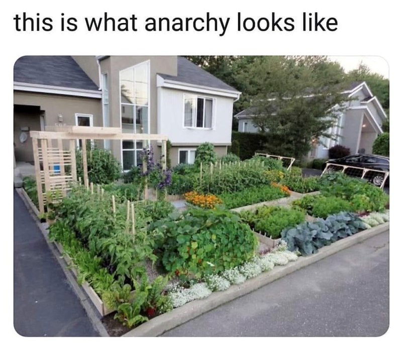 this is what anarchy looks like