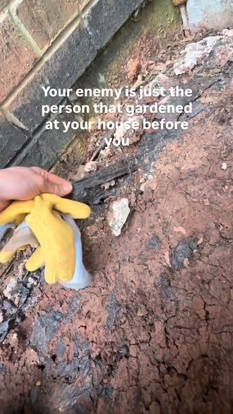 Your enemy is just the person that gardened at your house before you