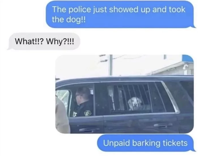The police just showed up and took the dog!! What!!? Why?!!! Unpaid barking tickets