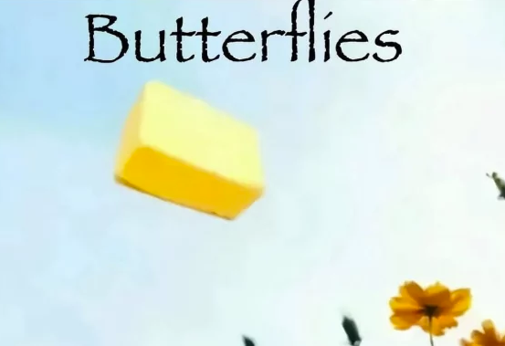 Butterflies