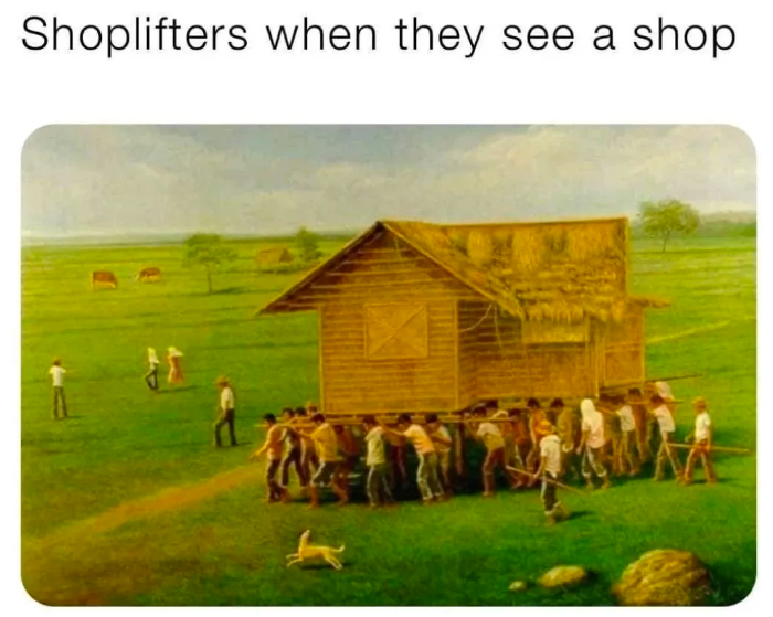 Shoplifters when they see a shop