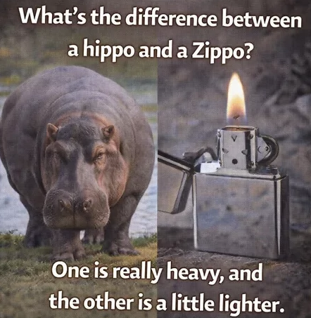 What's the difference between a hippo and a Zippo? One is really heavy, and the other is a little lighter.