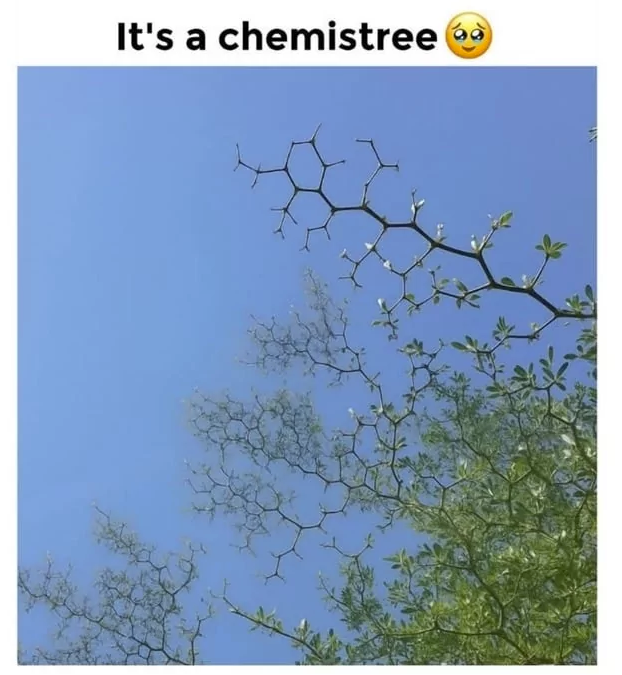 It's a chemistree