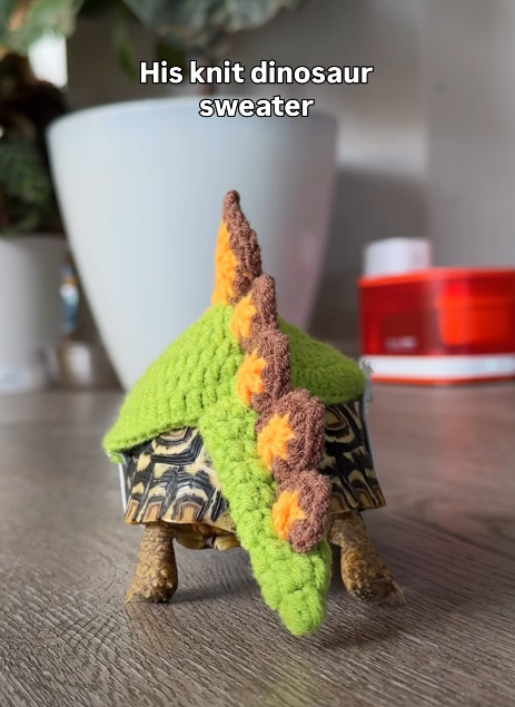 His knit dinosaur Sweater