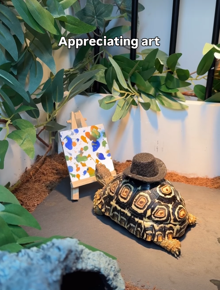 Appreciating art 19