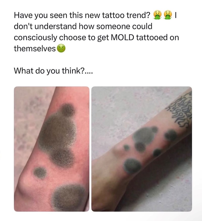 Have you seen this new tattoo trend? don't understand how someone could consciously choose to get MOLD tattooed on themselves What do you think?....