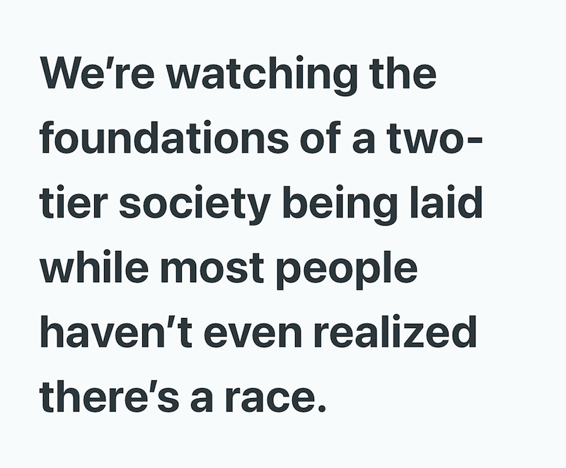 We're watching the foundations of a two- tier society being laid while most people haven't even realized there's a race.