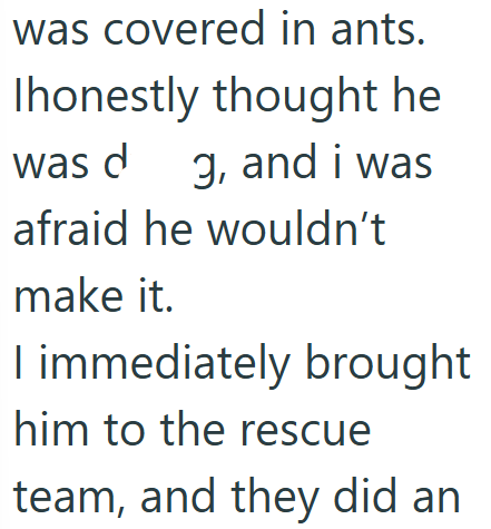 was covered in ants. Ihonestly thought he was dg, and i was afraid he wouldn't make it. I immediately brought him to the rescue team, and they did an