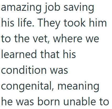 amazing job saving his life. They took him to the vet, where we learned that his condition was congenital, meaning he was born unable to