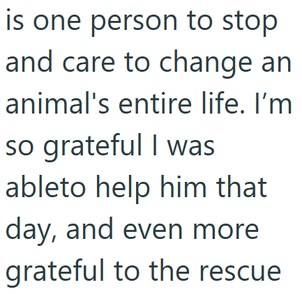 is one person to stop and care to change an animal's entire life. I'm so grateful I was ableto help him that day, and even more grateful to the rescue