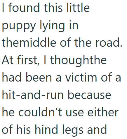 I found this little puppy lying in themiddle of the road. At first, I thoughthe had been a victim of a hit-and-run because he couldn't use either of his hind legs and