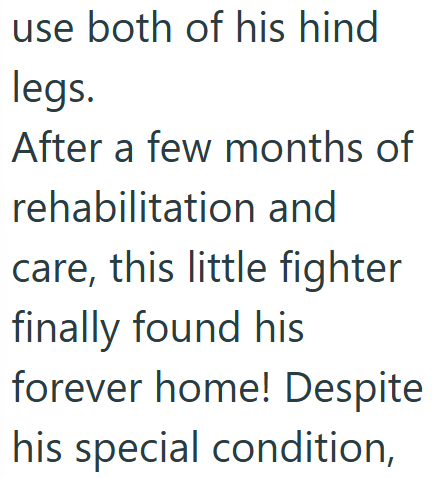 use both of his hind legs. After a few months of rehabilitation and care, this little fighter finally found his forever home! Despite his special condition,