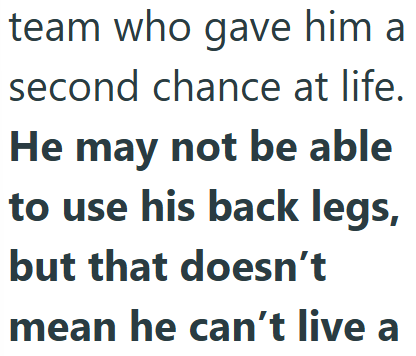team who gave him a second chance at life. He may not be able to use his back legs, but that doesn't mean he can't live a