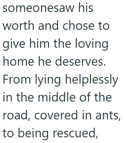 someonesaw his worth and chose to give him the loving home he deserves. From lying helplessly in the middle of the road, covered in ants, to being rescued,