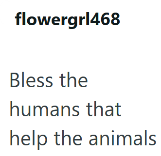 flowergrl468 Bless the humans that help the animals