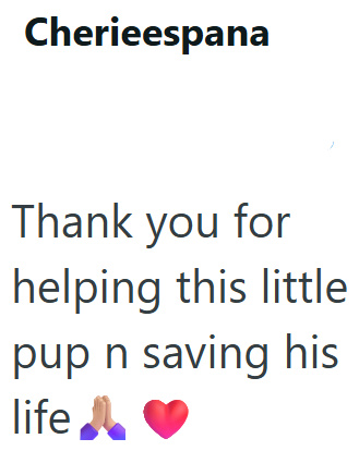 Cherieespana Thank you for helping this little pup n saving his life