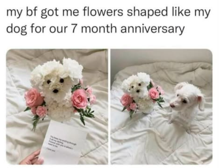 my bf got me flowers shaped like my dog for our 7 month anniversary