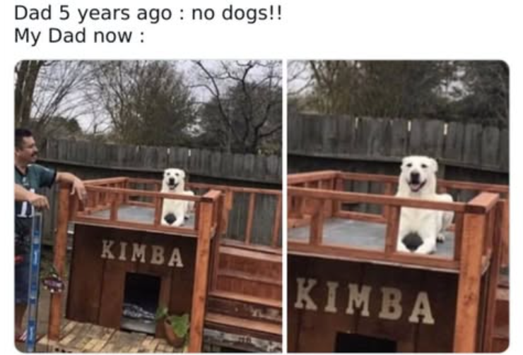 Dad 5 years ago: no dogs!! My Dad now : KIMBA KIMBA
