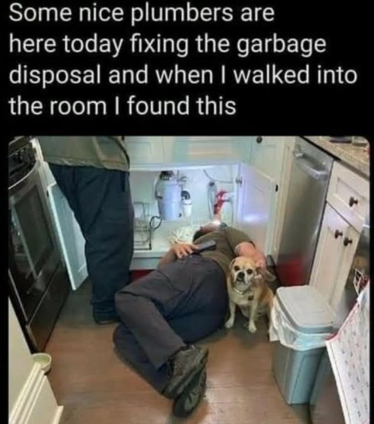 Some nice plumbers are here today fixing the garbage disposal and when I walked into the room I found this