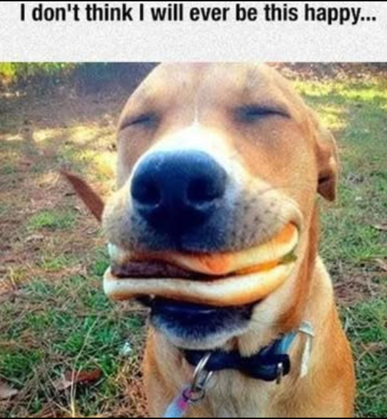 I don't think I will ever be this happy...