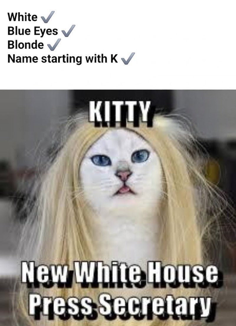 White ✓ Blue Eyes Blonde✔ Name starting with K✔ KITTY New White House Press Secretary