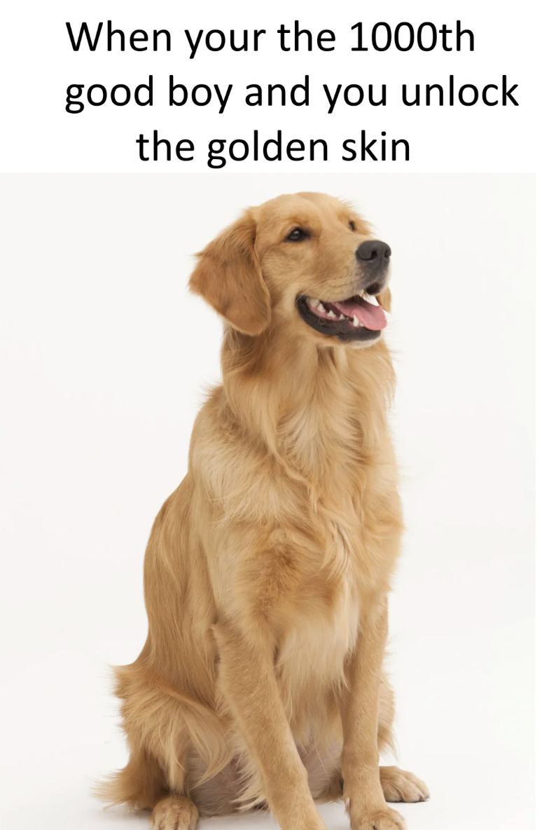 When your the 1000th good boy and you unlock the golden skin