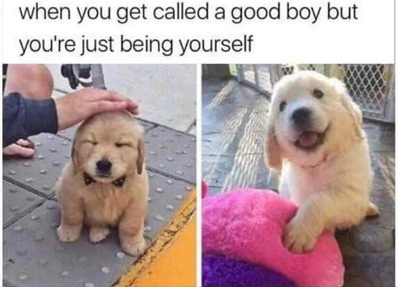 when you get called a good boy but you're just being yourself