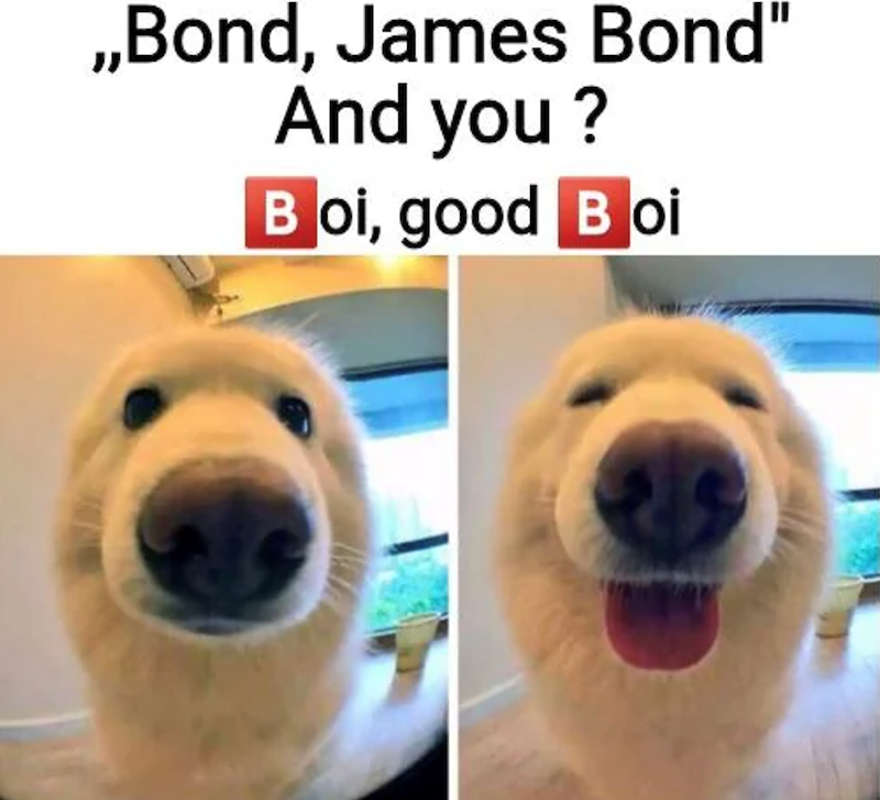 ,,Bond, James Bond" And you? Boi, good Boi