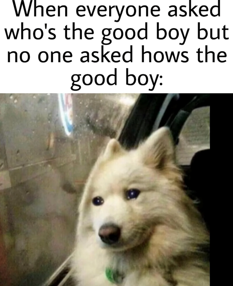 When everyone asked who's the good boy but no one asked hows the good boy: