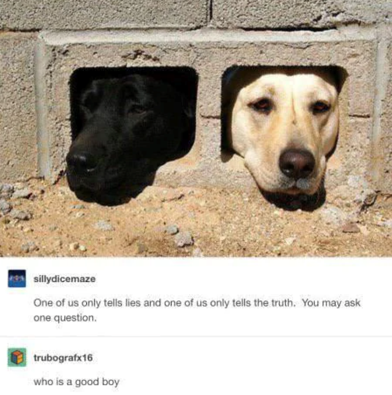 sillydicemaze One of us only tells lies and one of us only tells the truth. You may ask one question. trubografx16 who is a good boy