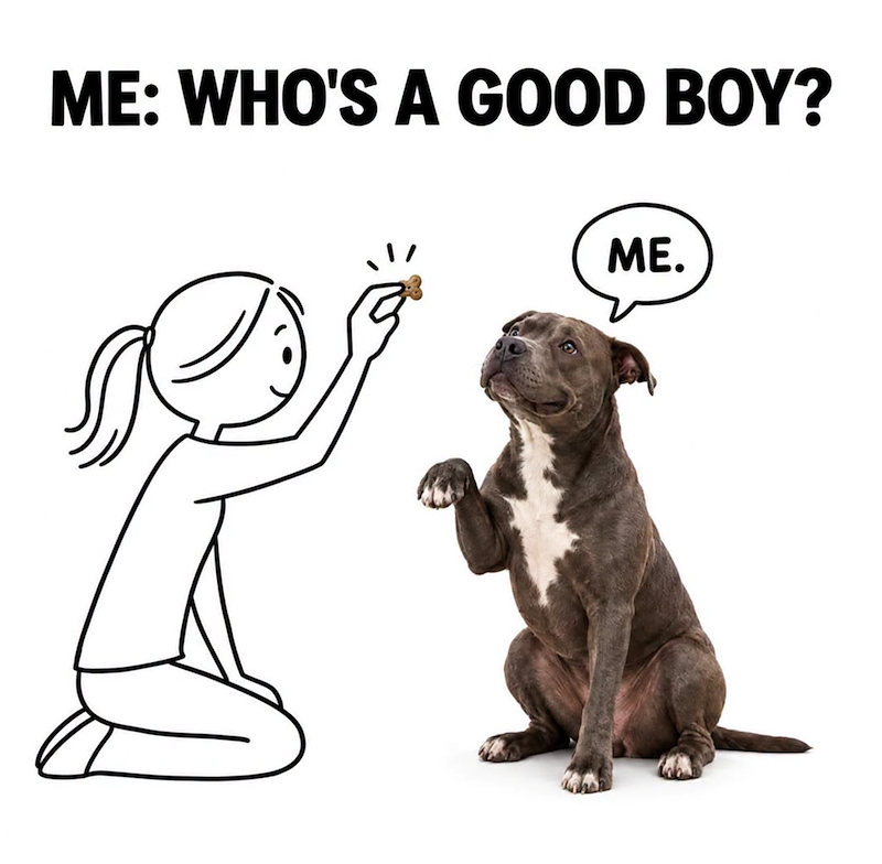 ME: WHO'S A GOOD BOY? ME.