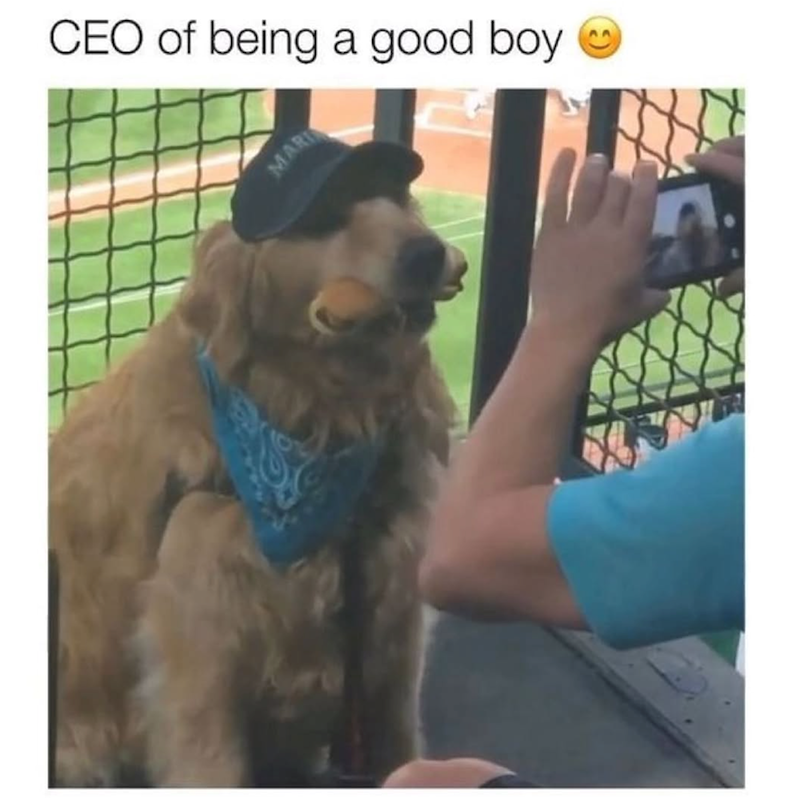CEO of being a good boy MARI