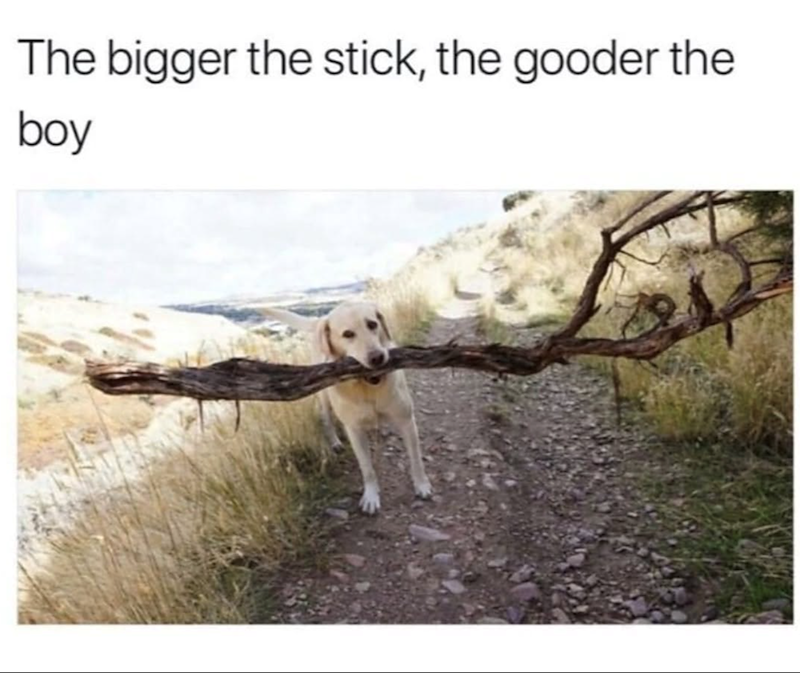 The bigger the stick, the gooder the boy
