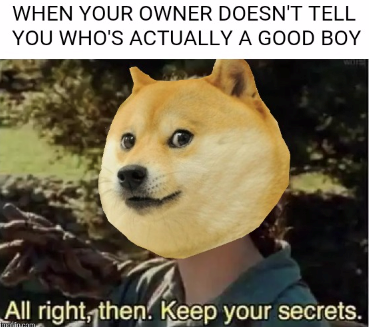 WHEN YOUR OWNER DOESN'T TELL YOU WHO'S ACTUALLY A GOOD BOY All right, then. Keep your secrets. Imgflip.com