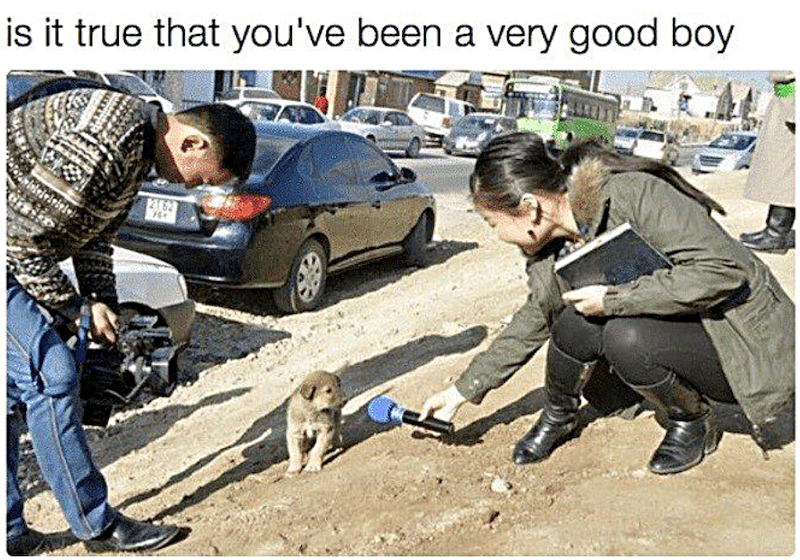 is it true that you've been a very good boy 2162 764