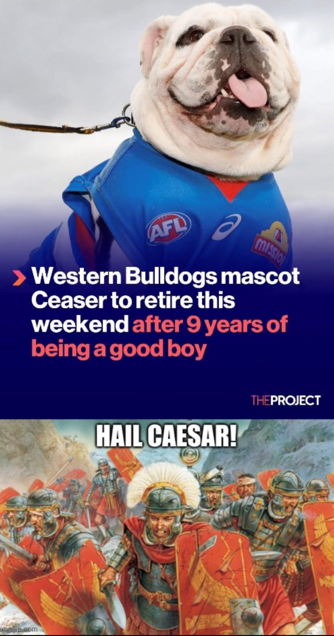 AFL MISSION Western Bulldogs mascot Ceaser to retire this weekend after 9 years of being a good boy implip.com HAIL CAESAR! THEPROJECT